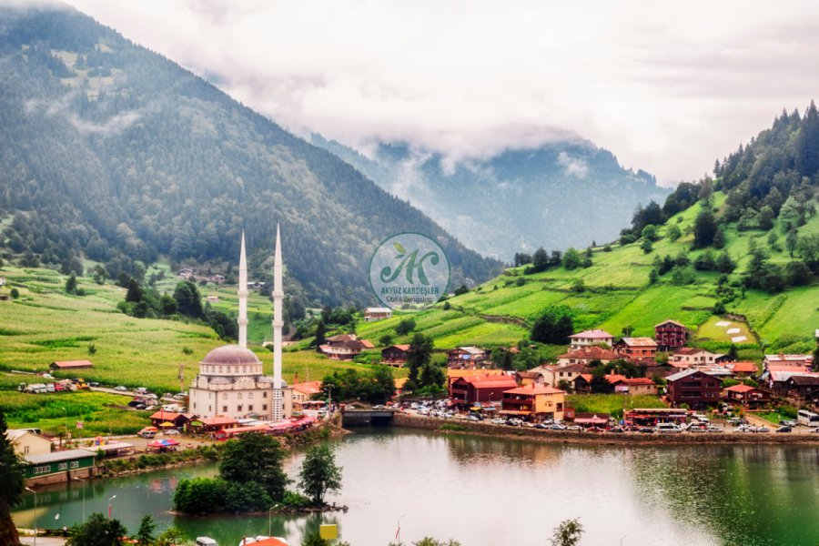 Uzungöl'e Nasıl Gidilir? 
