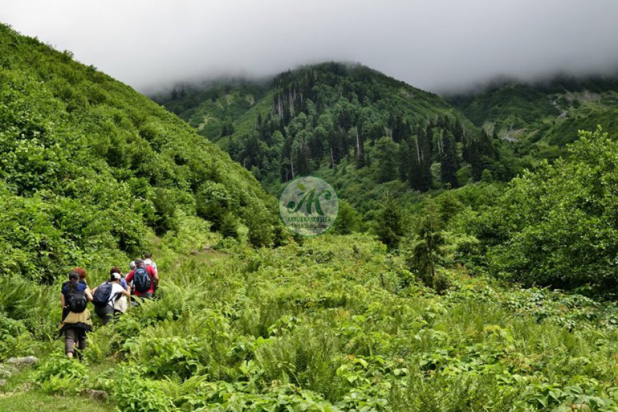 Uzungöl Yürüyüş Rotaları